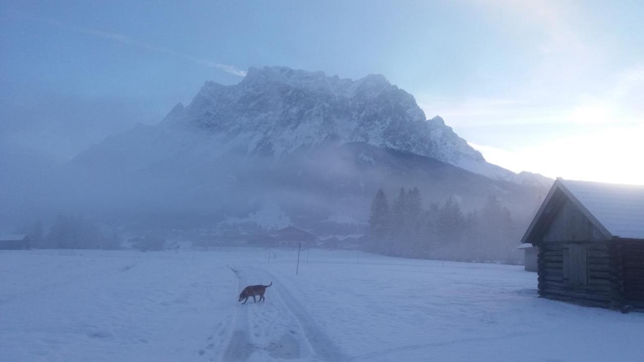 Tyrol Appartements Ehrwald Esterno foto