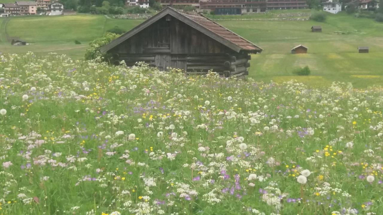 Tyrol Appartements Ehrwald Esterno foto