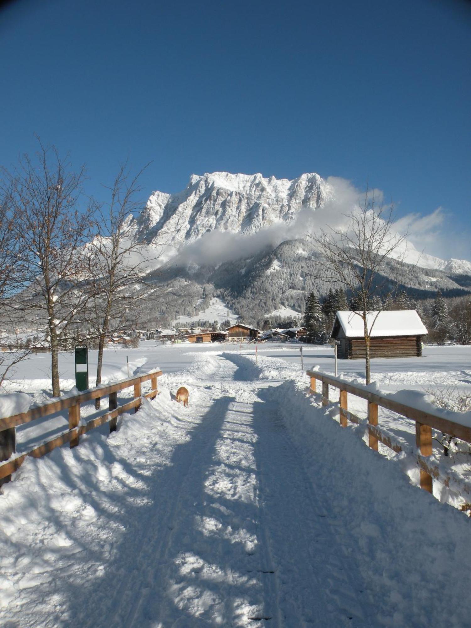 Tyrol Appartements Ehrwald Esterno foto